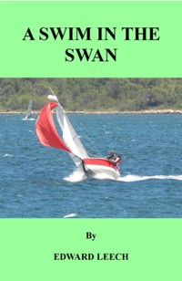 A Swim In The Swan