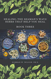 Healing - The Shaman s Way Book III