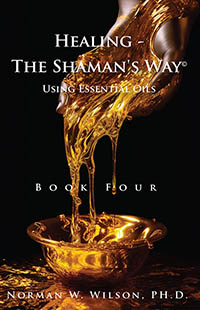 Healing The Shaman s Way - Book 4