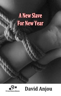 A New Slave for New Year