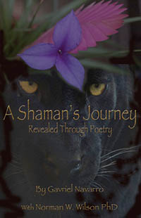 A Shaman s Journey Revealed Through Poetry