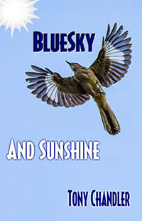 Bluesky And Sunshine